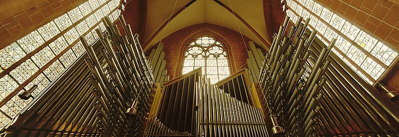 Domführung mit Orgel